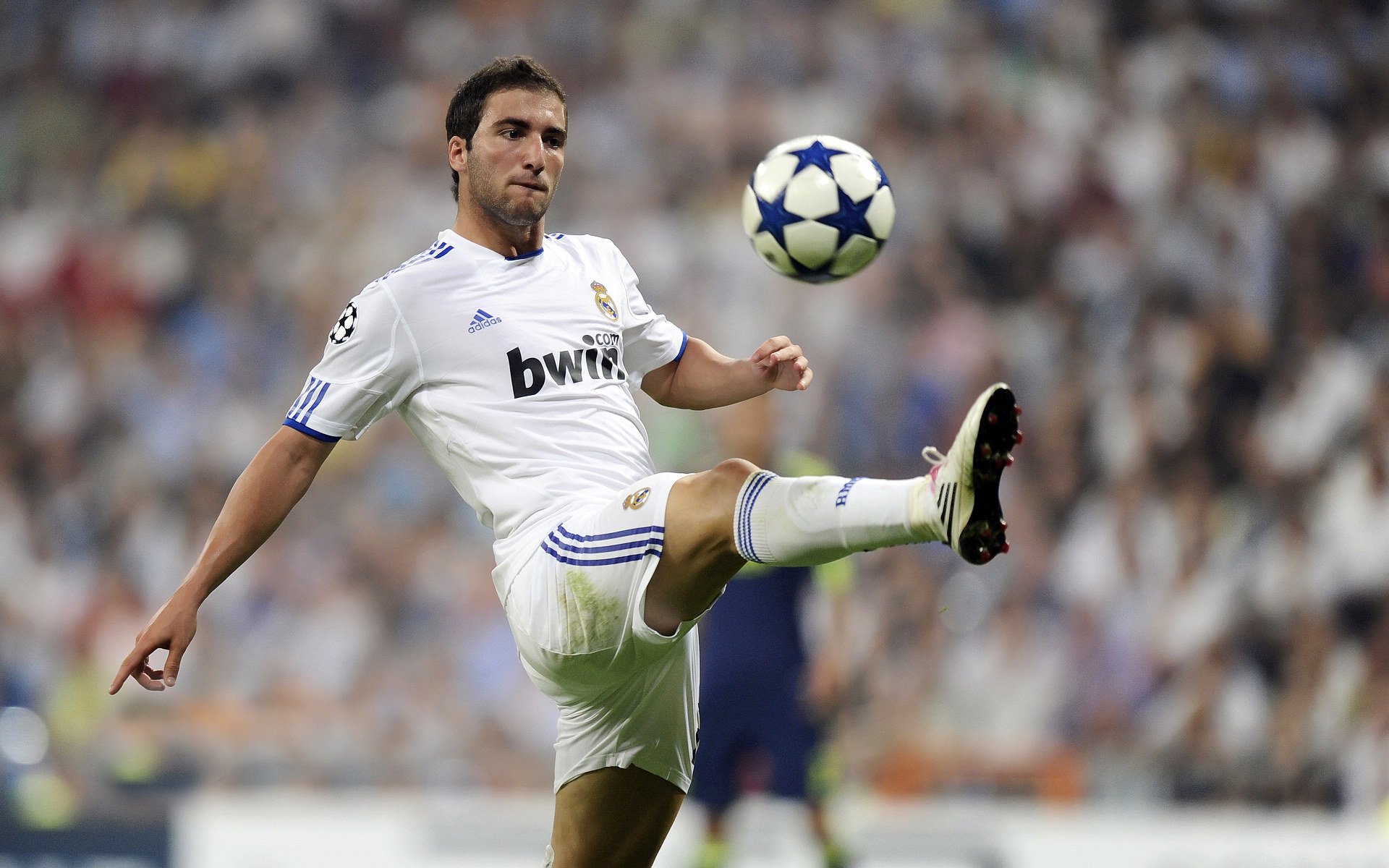 kaiyun app download-绿军新援亮相即有爆发，球队士气提升，绿军最新阵容