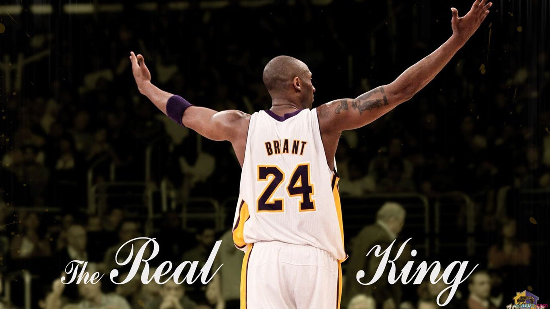 开云入口-青训专家领衔打造青少年“成长型”培训体系，青少年培训项目有哪些